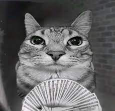 Responsive Centered Image